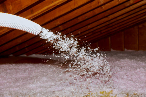 Best Insulation Installation Services in Anthony, TX