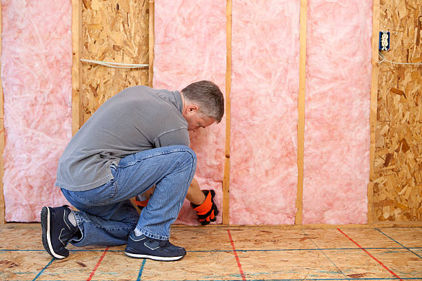 Best Residential Insulation in Anthony, TX