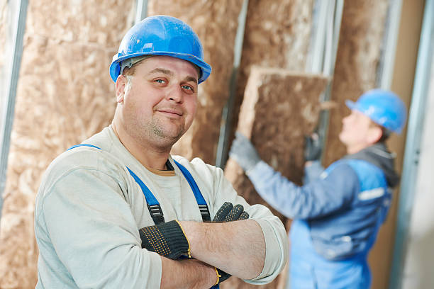 Best Insulation Maintenance and Repair in Anthony, TX