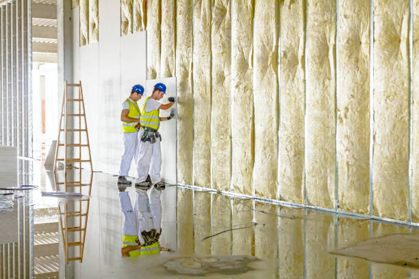 Best Insulation Maintenance and Repair in Anthony, TX